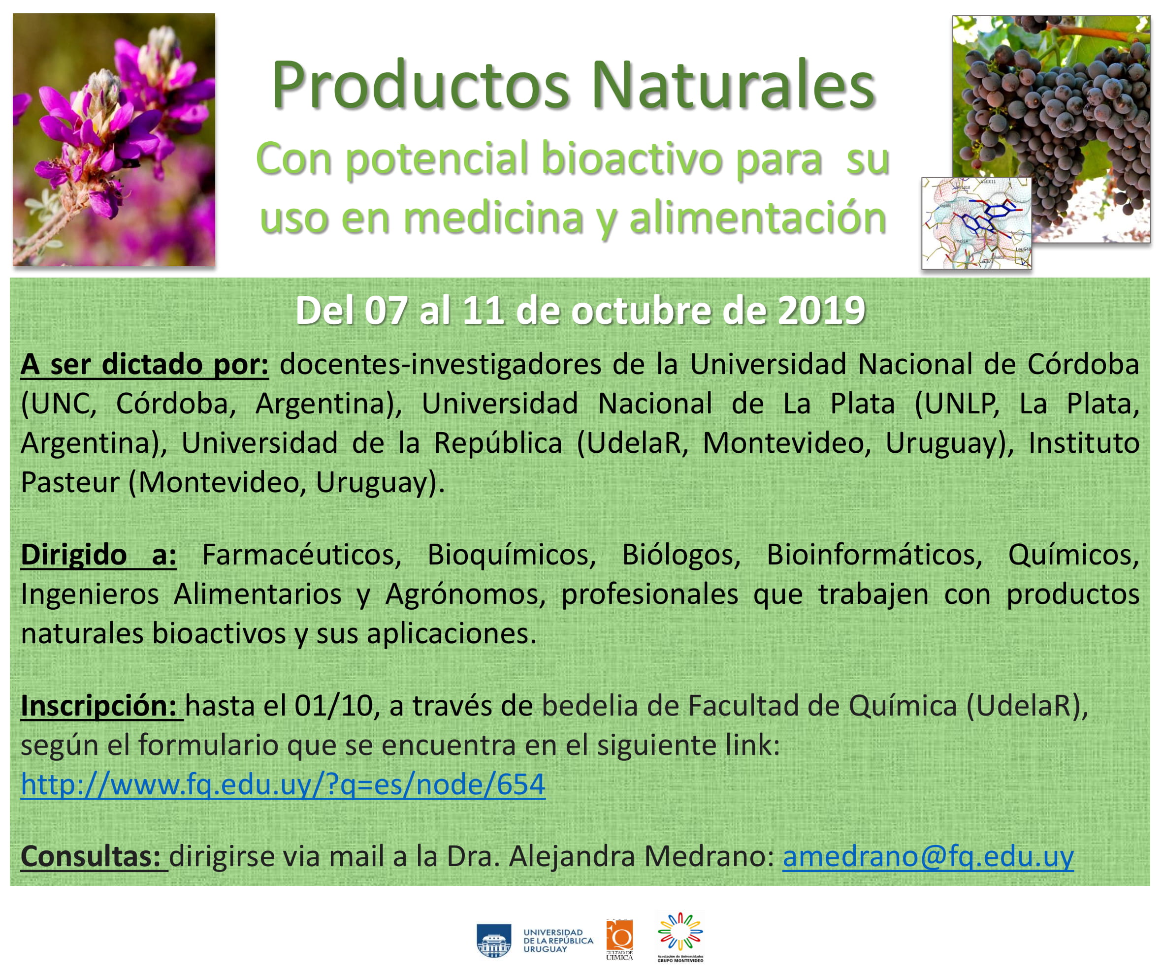 CURSO: Productos Naturales Con potencial bioactivo para su uso en medicina y alimentación