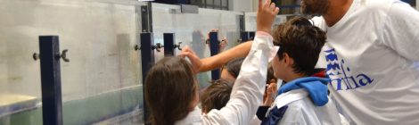 Día Mundial del Agua