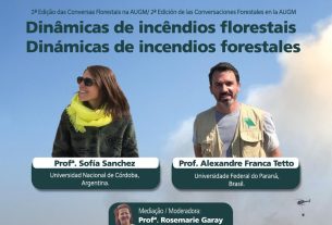 Incendios forestales en sudamérica: experiencias compartidas y estrategias orientadas a la prevención y gestión del riesgo