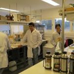 Cupos disponibles para el curso de posgrado sobre Programación Fetal y el concepto DOHaD para estudiantes de universidades de AUGM