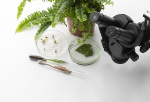 Primer Ciclo de conferencias sobre Productos naturales bioactivos y sus aplicaciones