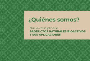 Conocé a quienes impulsan la investigación en productos naturales bioactivos y sus aplicaciones en las universidades de AUGM